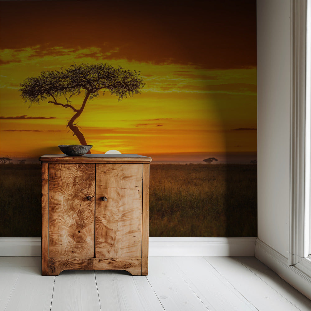 Primordial Africa | Wallpaper