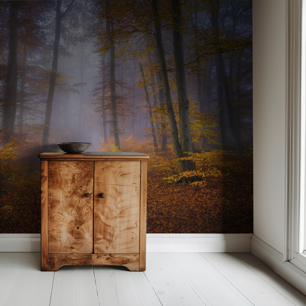 October Trail | Wallpaper