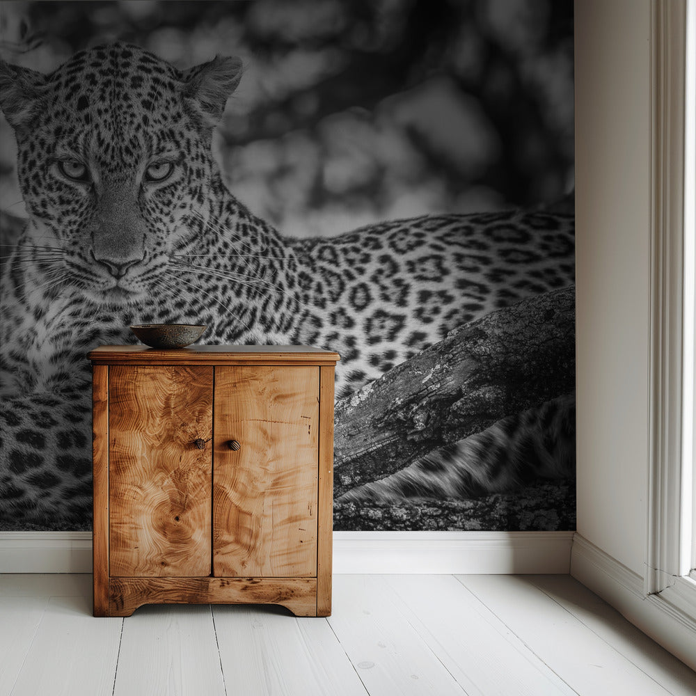 Monochrome beauty | Wallpaper