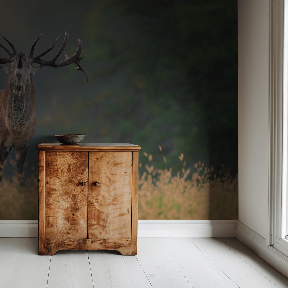 Deer wedding Song | Wallpaper