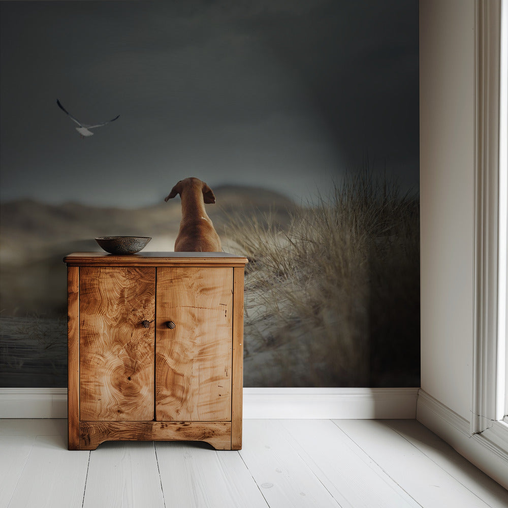 FREEDOM (II) | Wallpaper