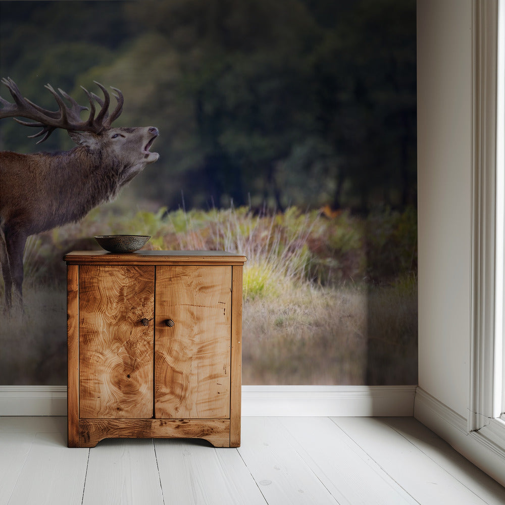 The scream of the deer | Wallpaper