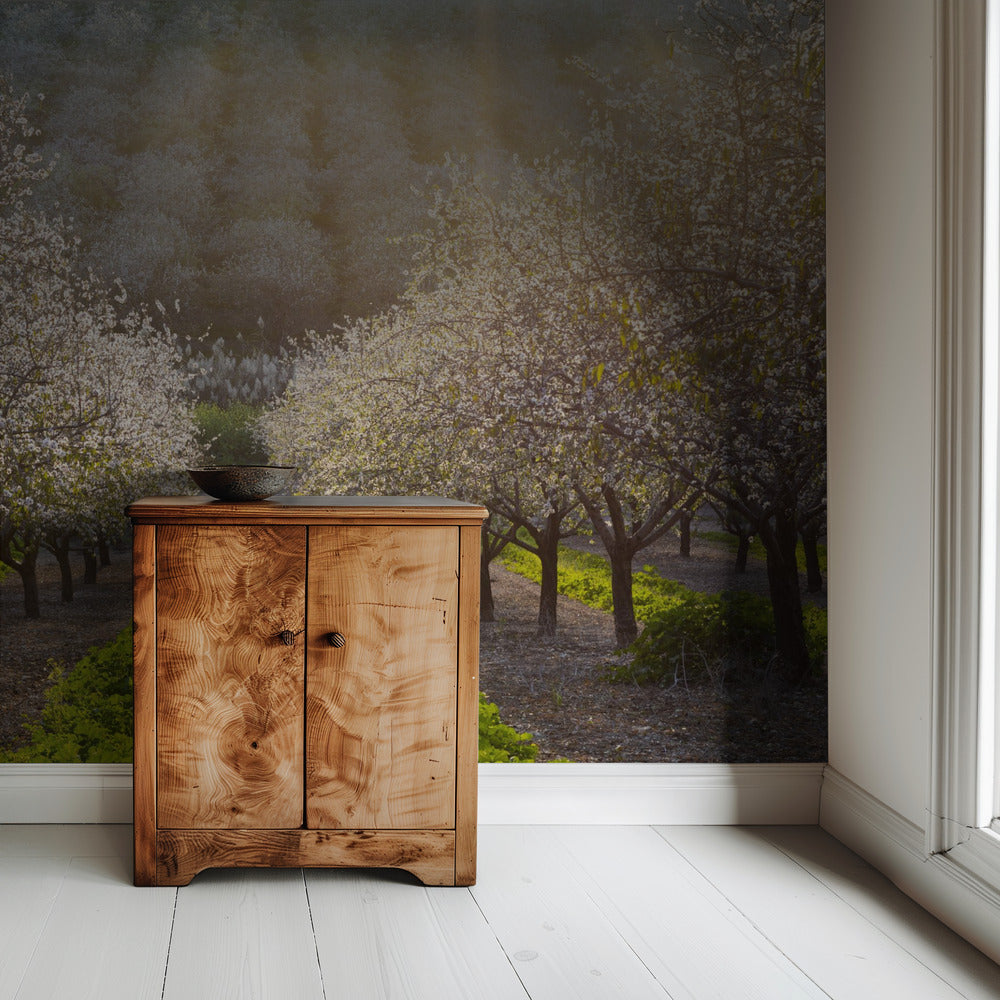 Golden Almonds | Wallpaper