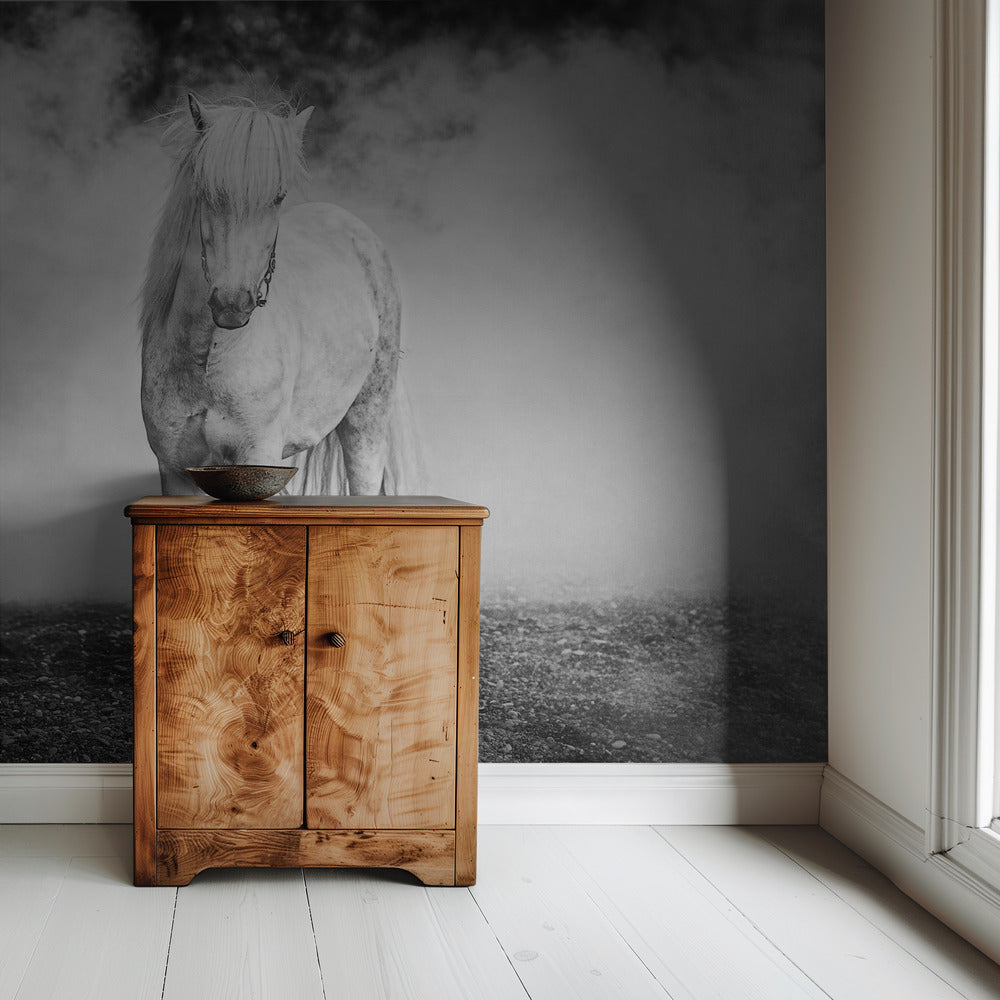 Icelandic pony | Wallpaper