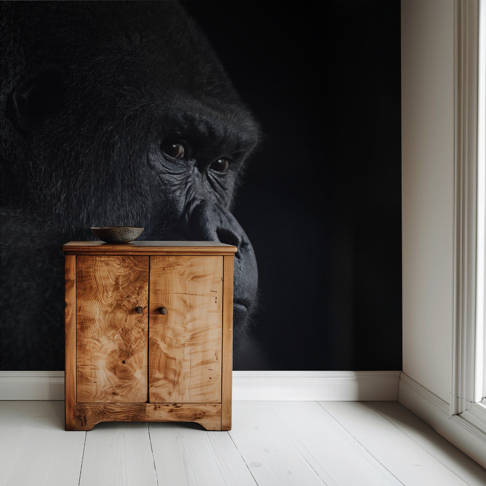 gorilla gaze | Wallpaper