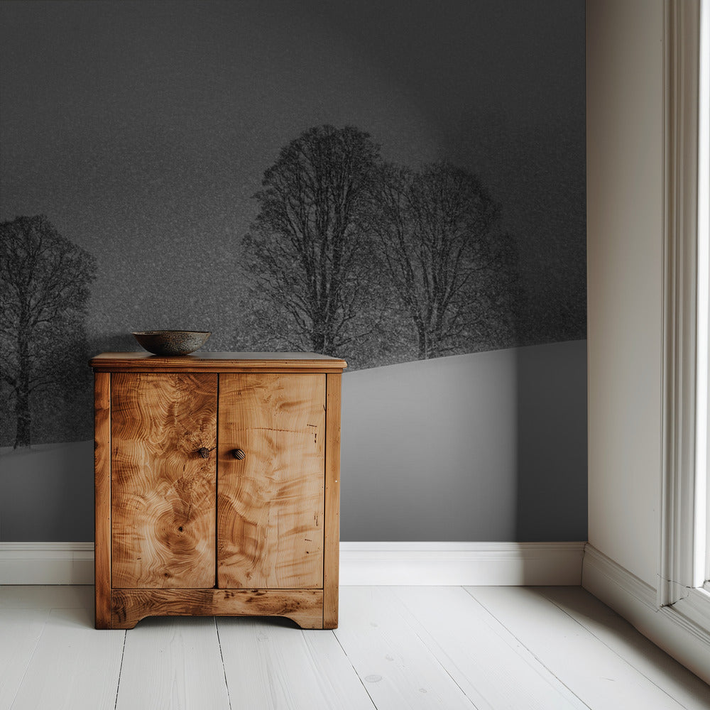 snow white | Wallpaper