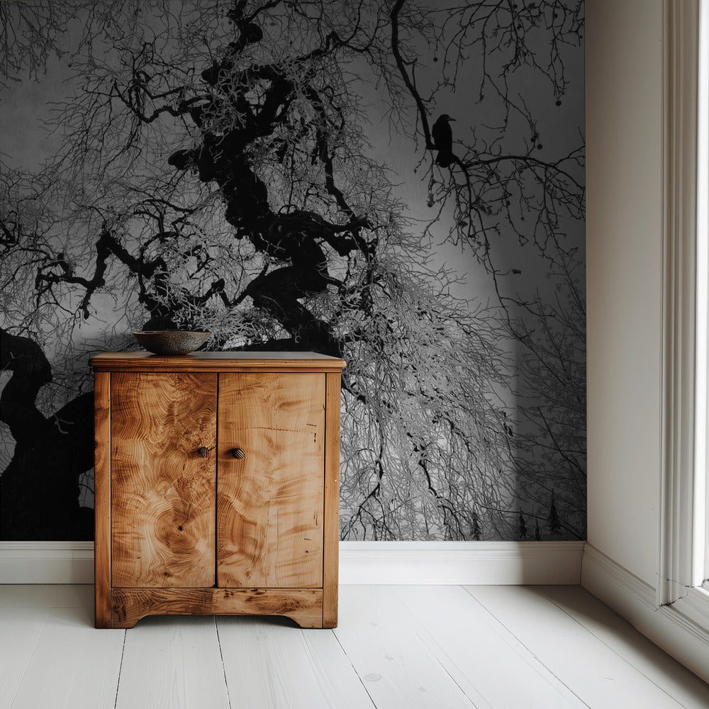 if on a winter's day | Wallpaper