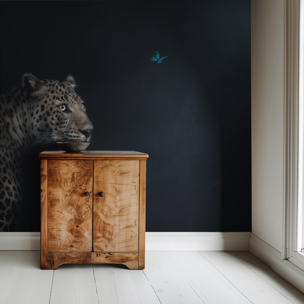 Imagination | Wallpaper