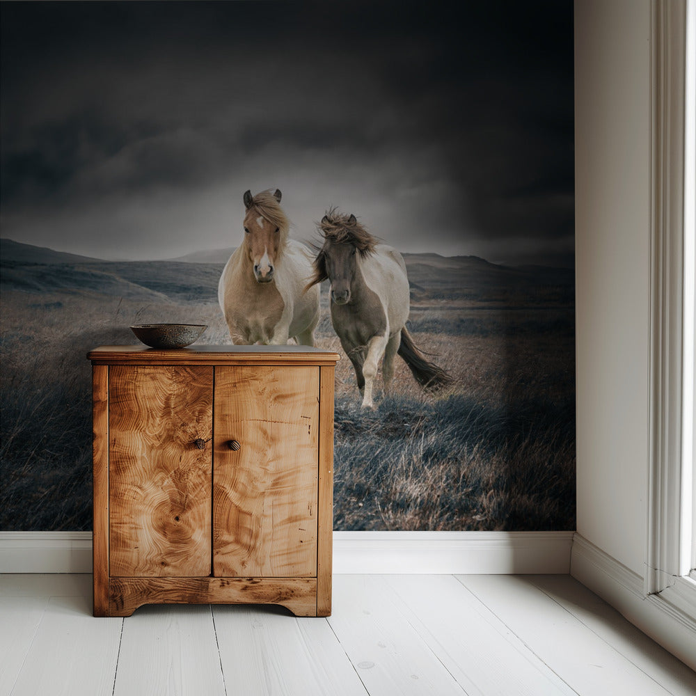 The brothers | Wallpaper