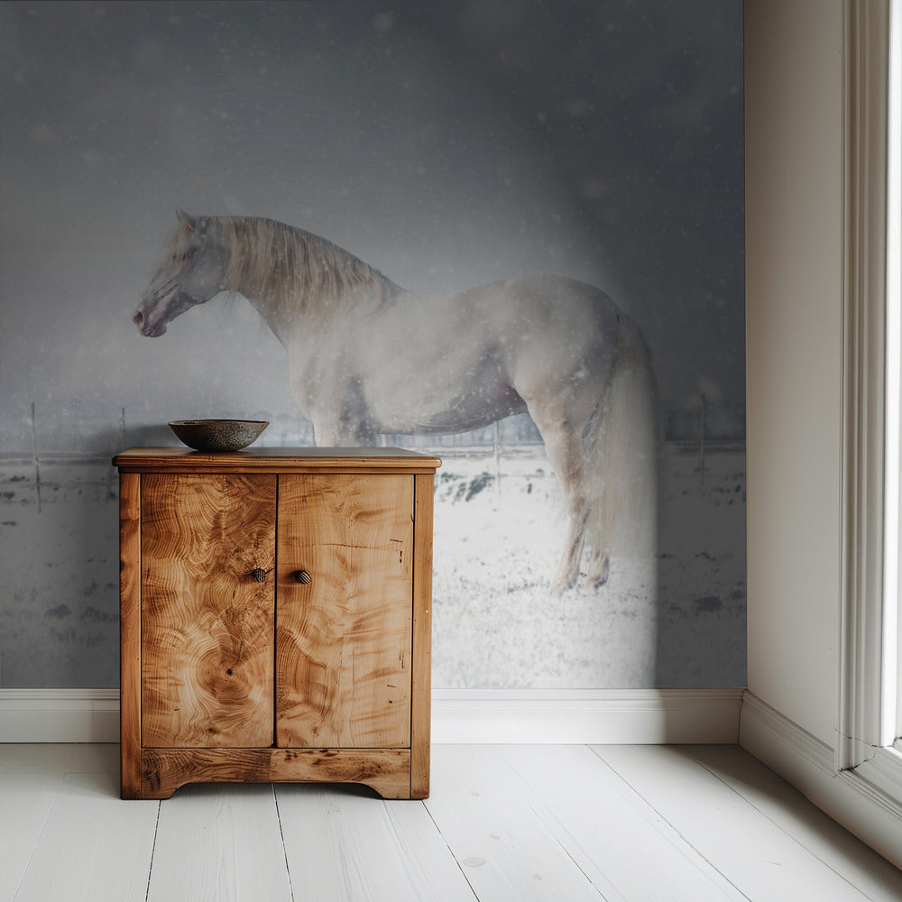 Let it snow... | Wallpaper