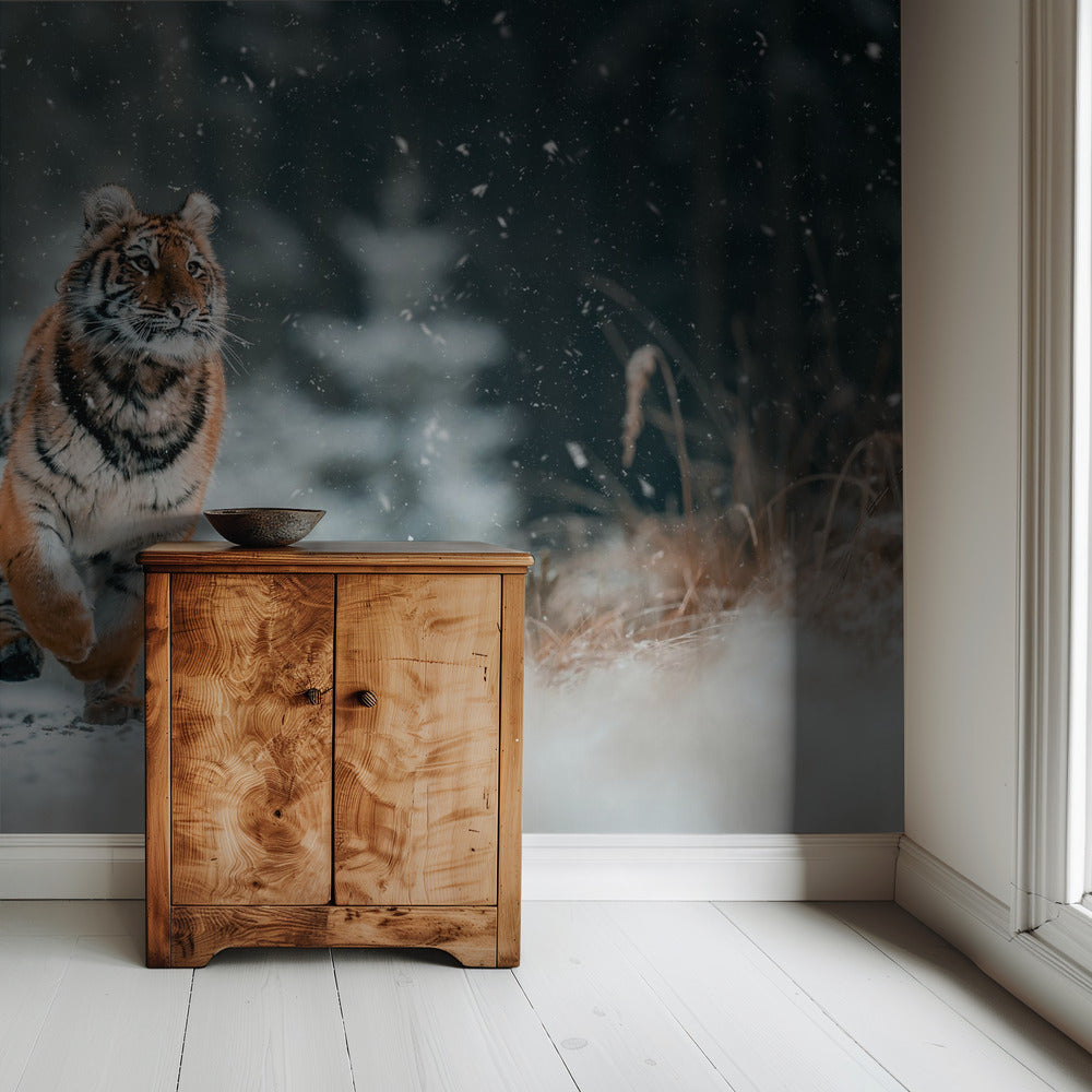 The Siberian tiger | Wallpaper