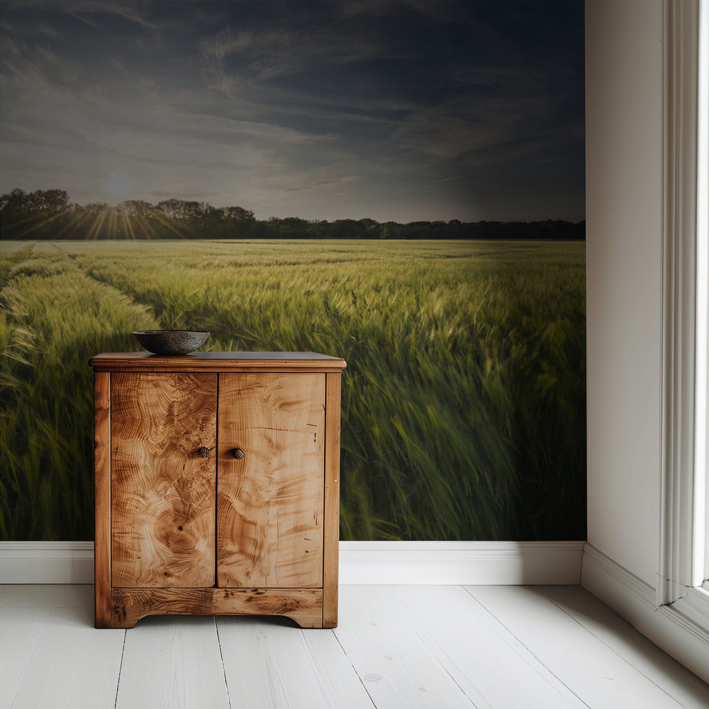 Barley Meadow | Wallpaper