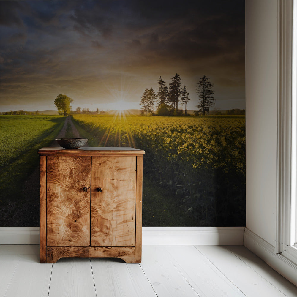 Summer Meadow | Wallpaper