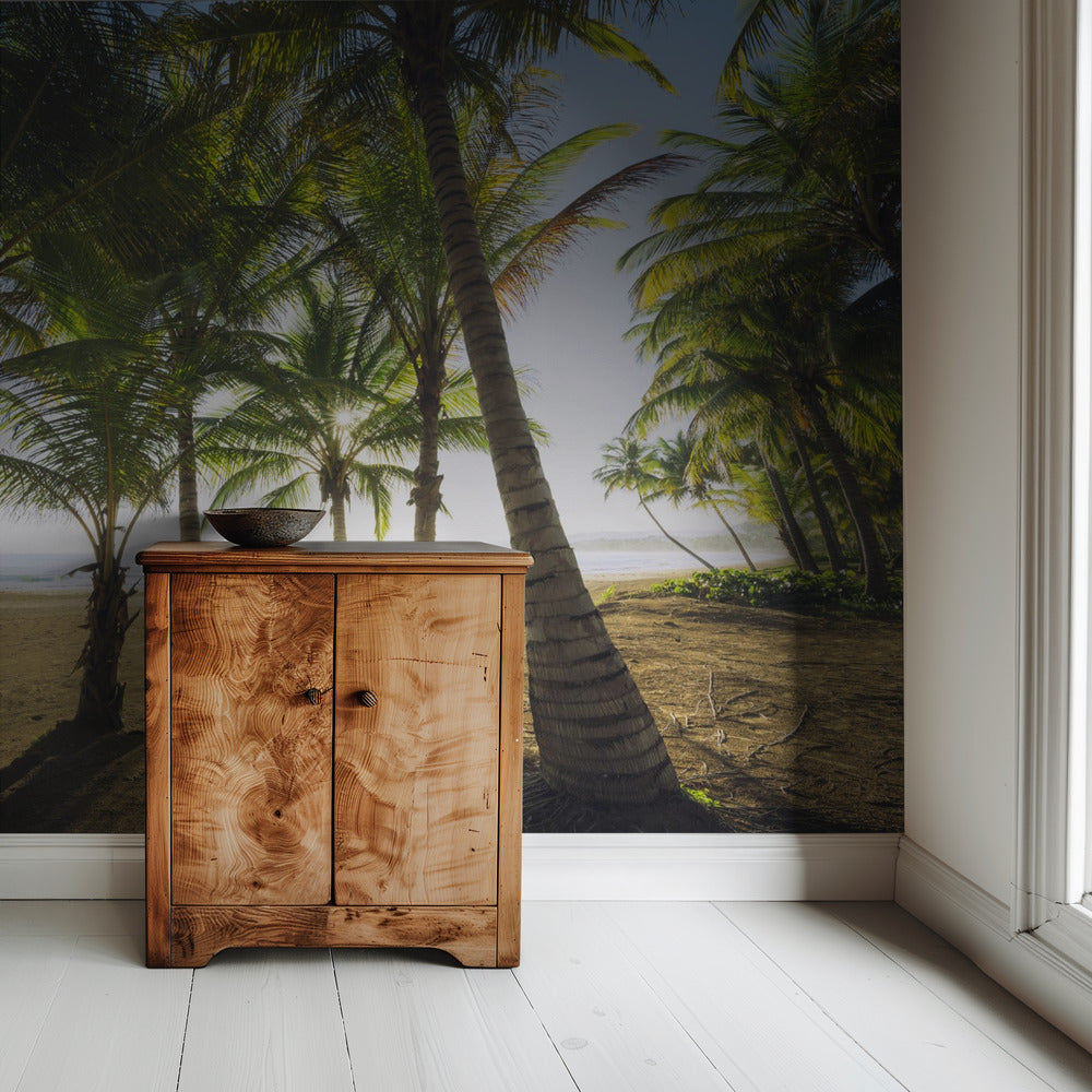 Tropical Morning | Wallpaper