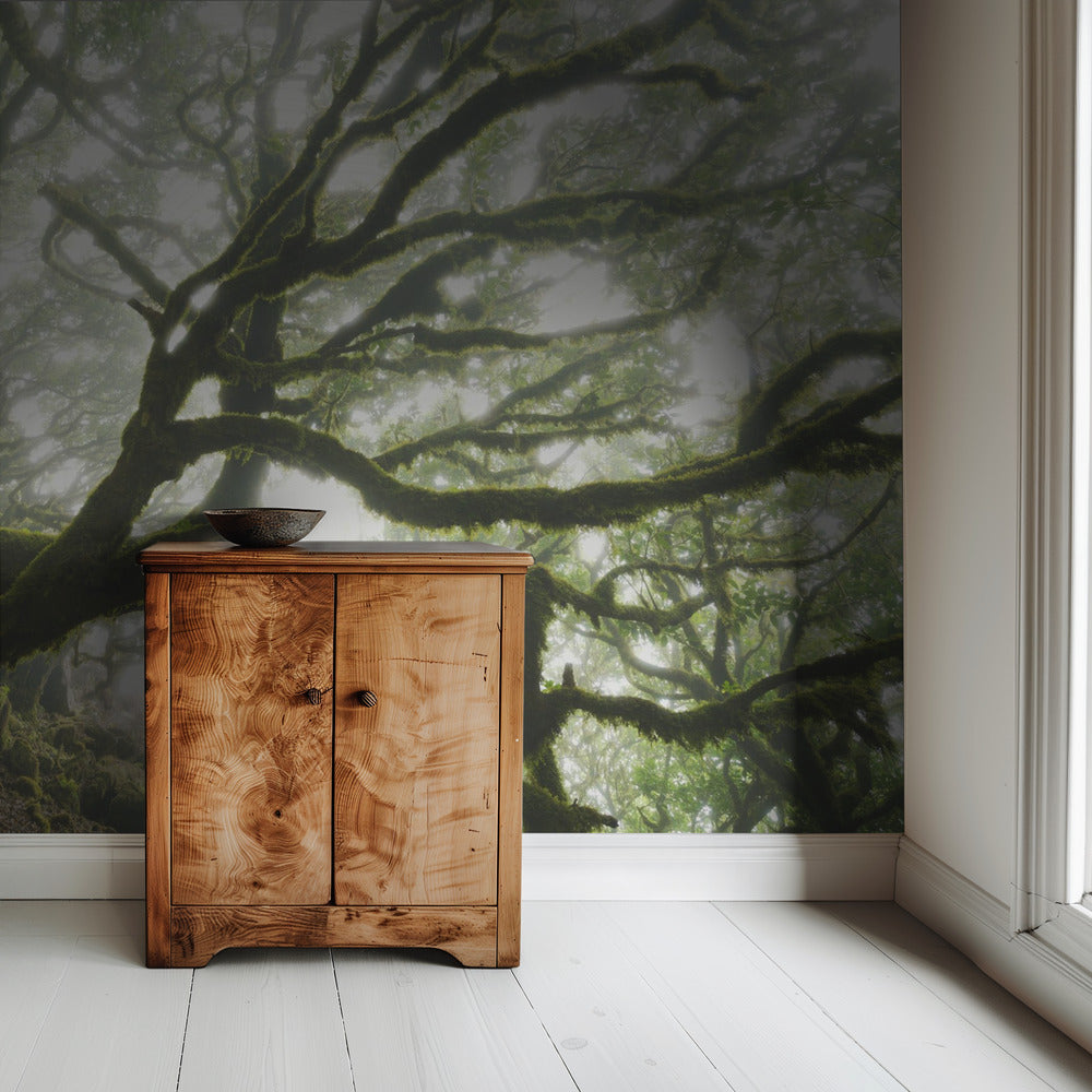 Magic Moment | Wallpaper