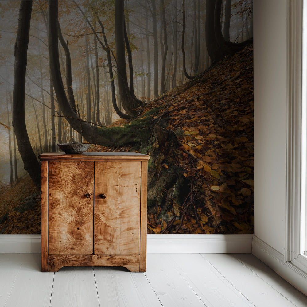 Mystic Autumn Forest | Wallpaper