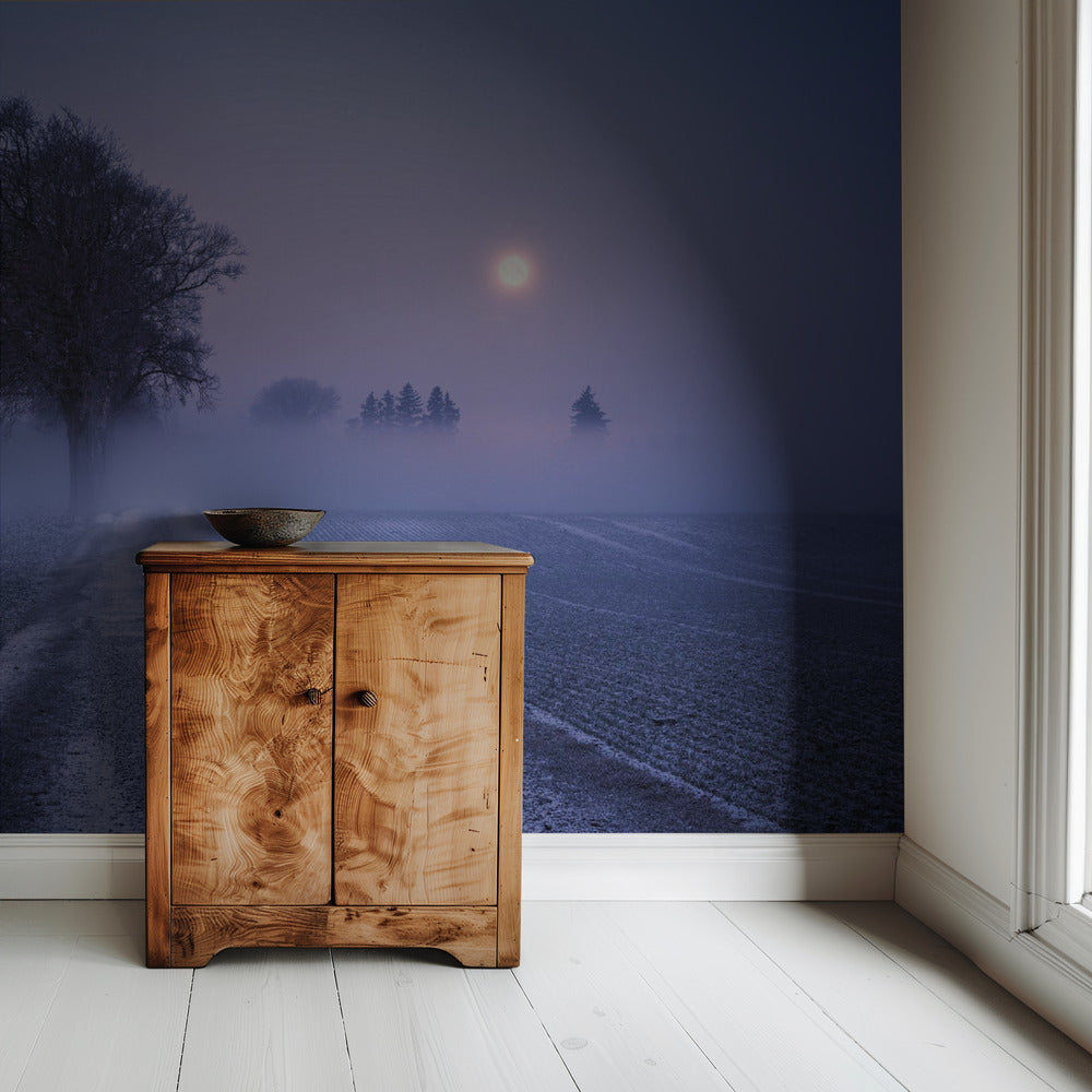 Moonlit Path | Wallpaper