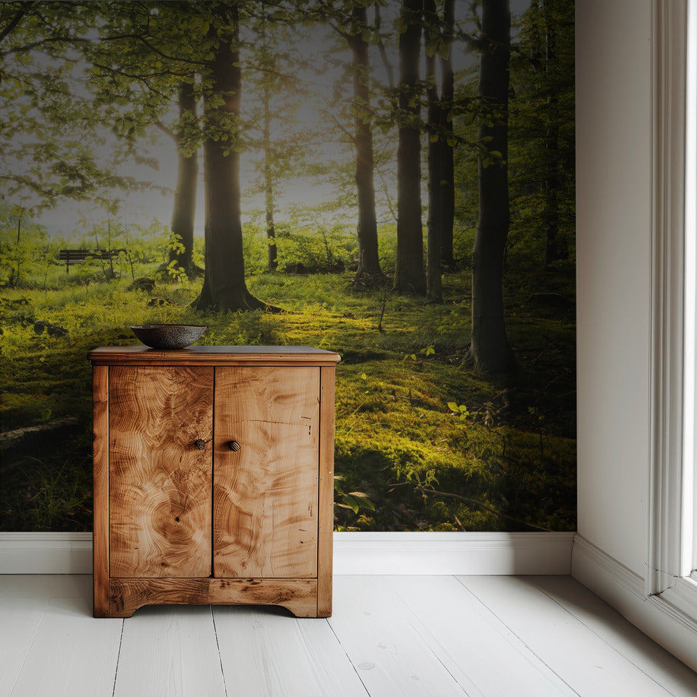 Summer in the Woods | Wallpaper