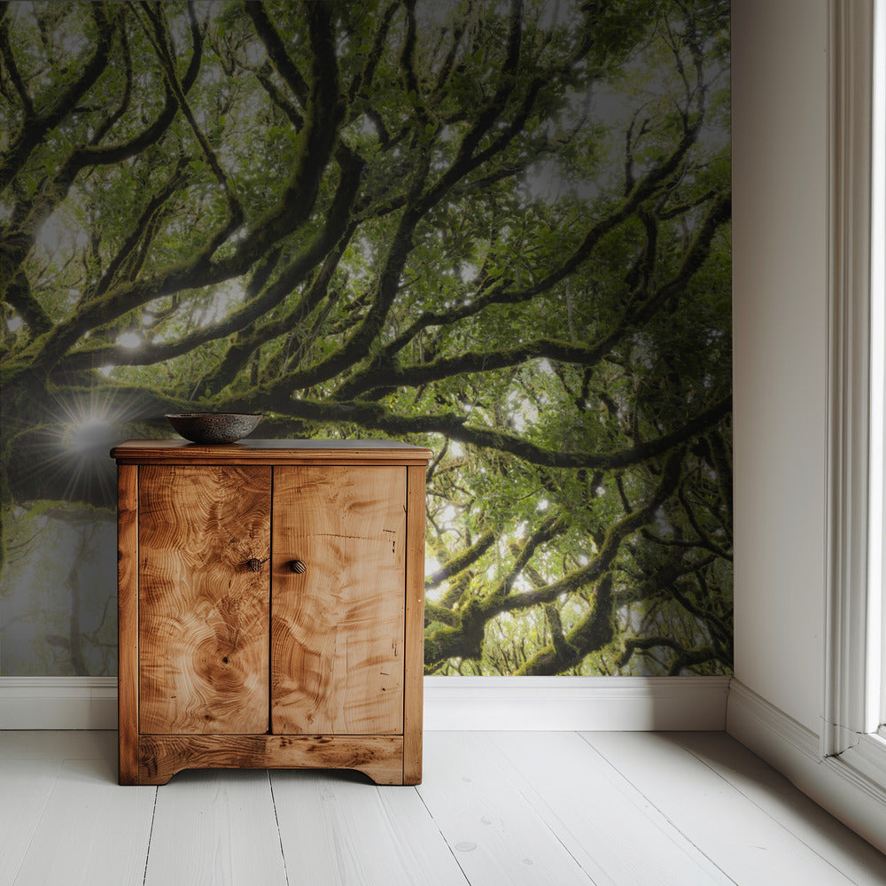 Green Star | Wallpaper