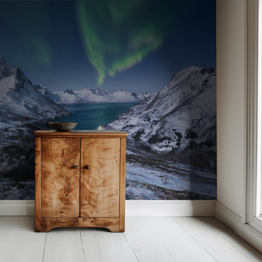 Aurora Nights | Wallpaper