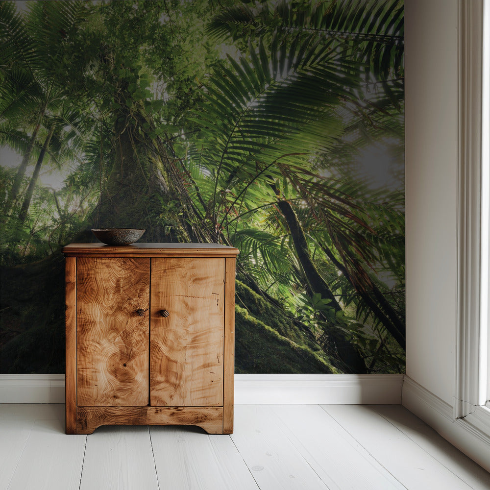 Walking in the Jungle | Wallpaper