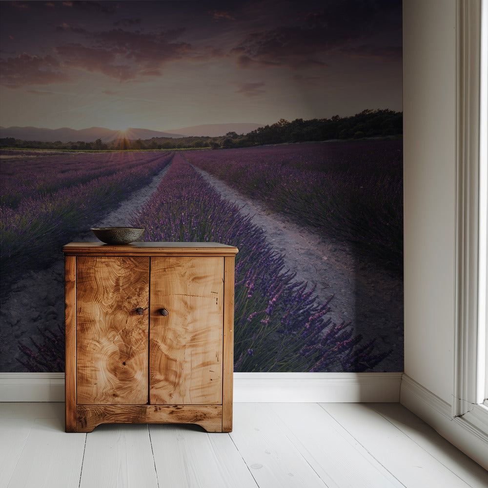 Purple Provence | Wallpaper