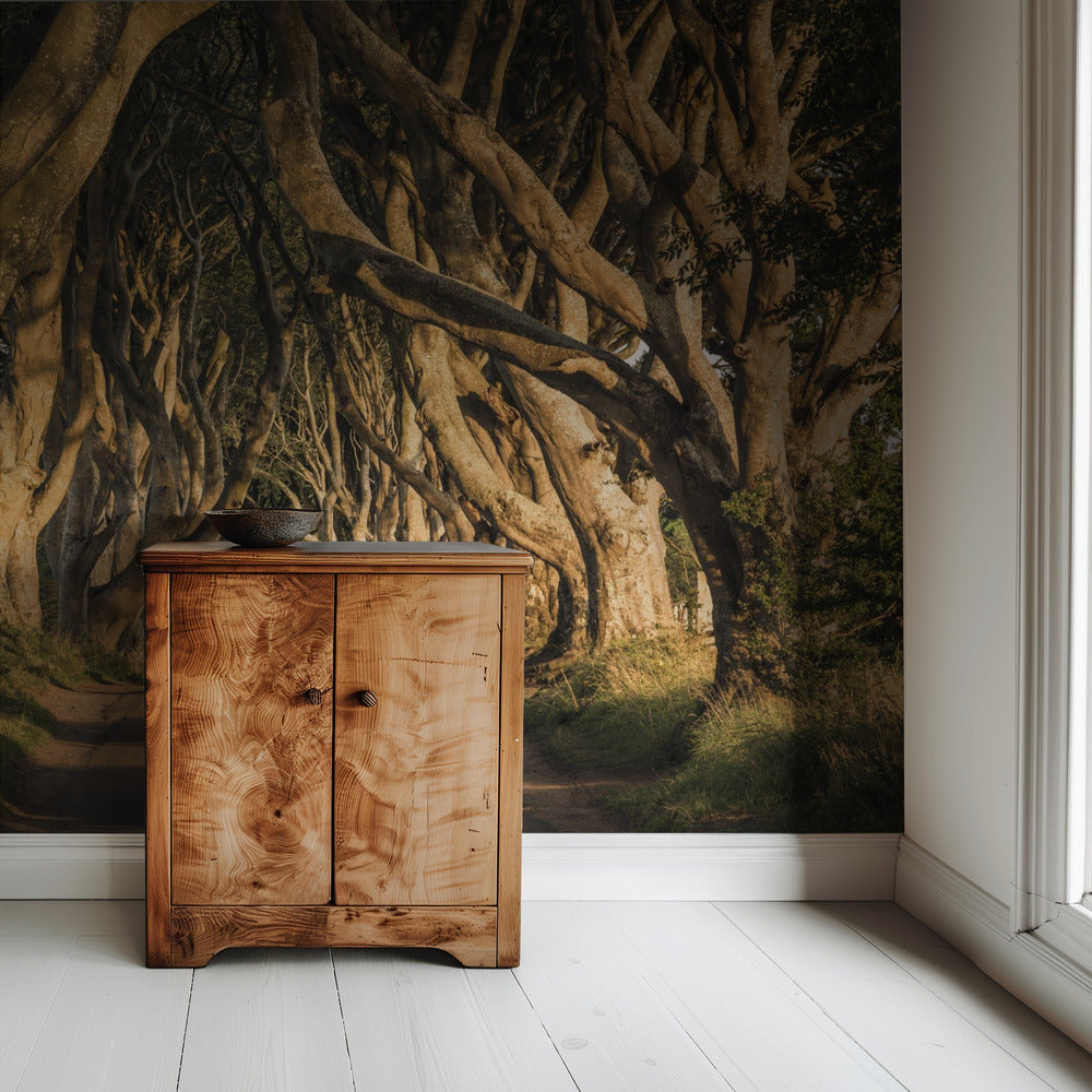 The Avenue | Wallpaper