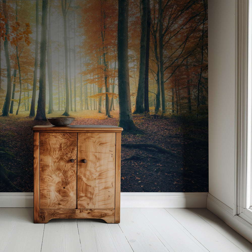 Autumn in the Woods | Wallpaper