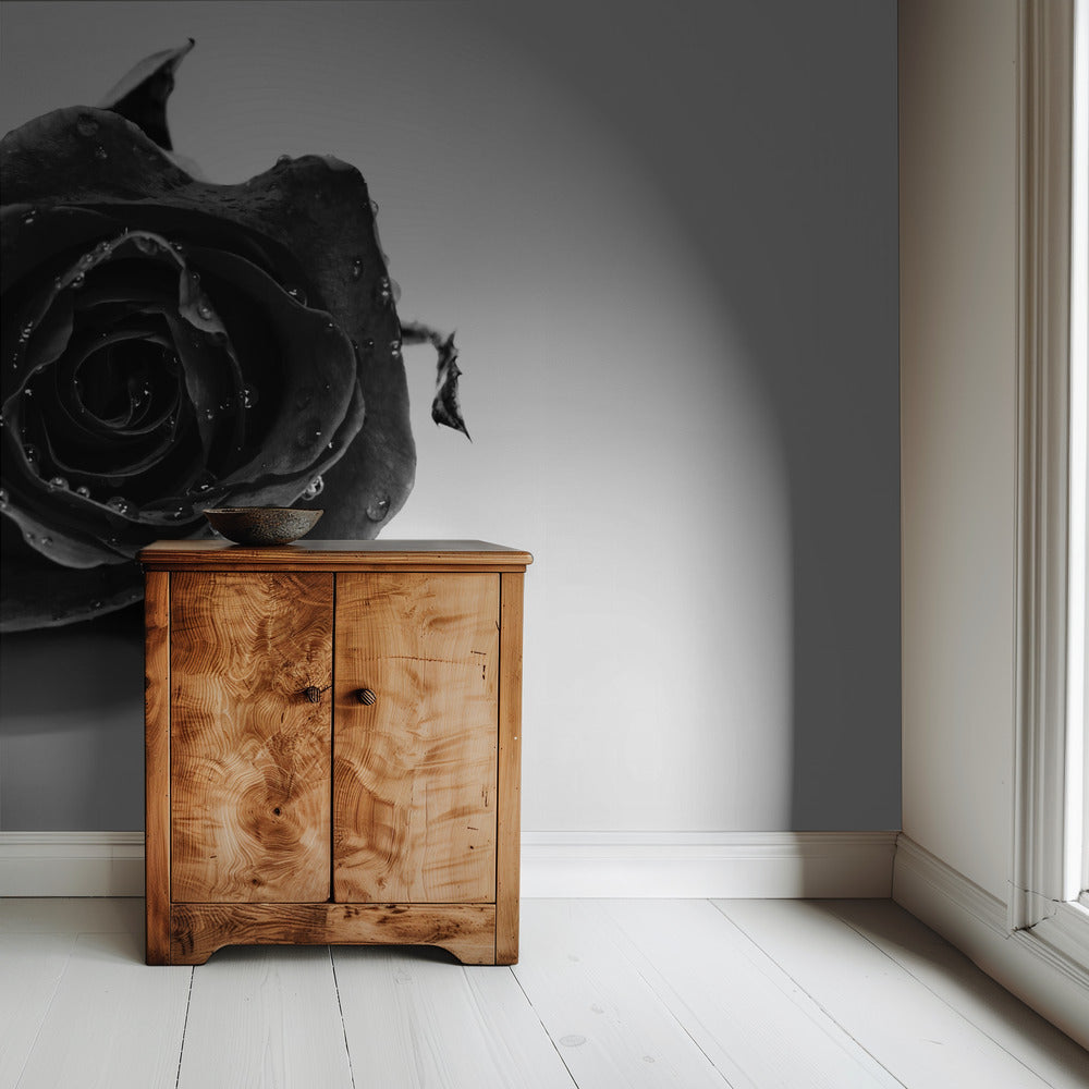 Rose Noir | Wallpaper