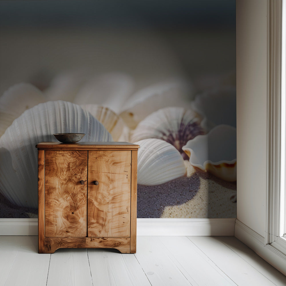 Seaside Shells | Wallpaper