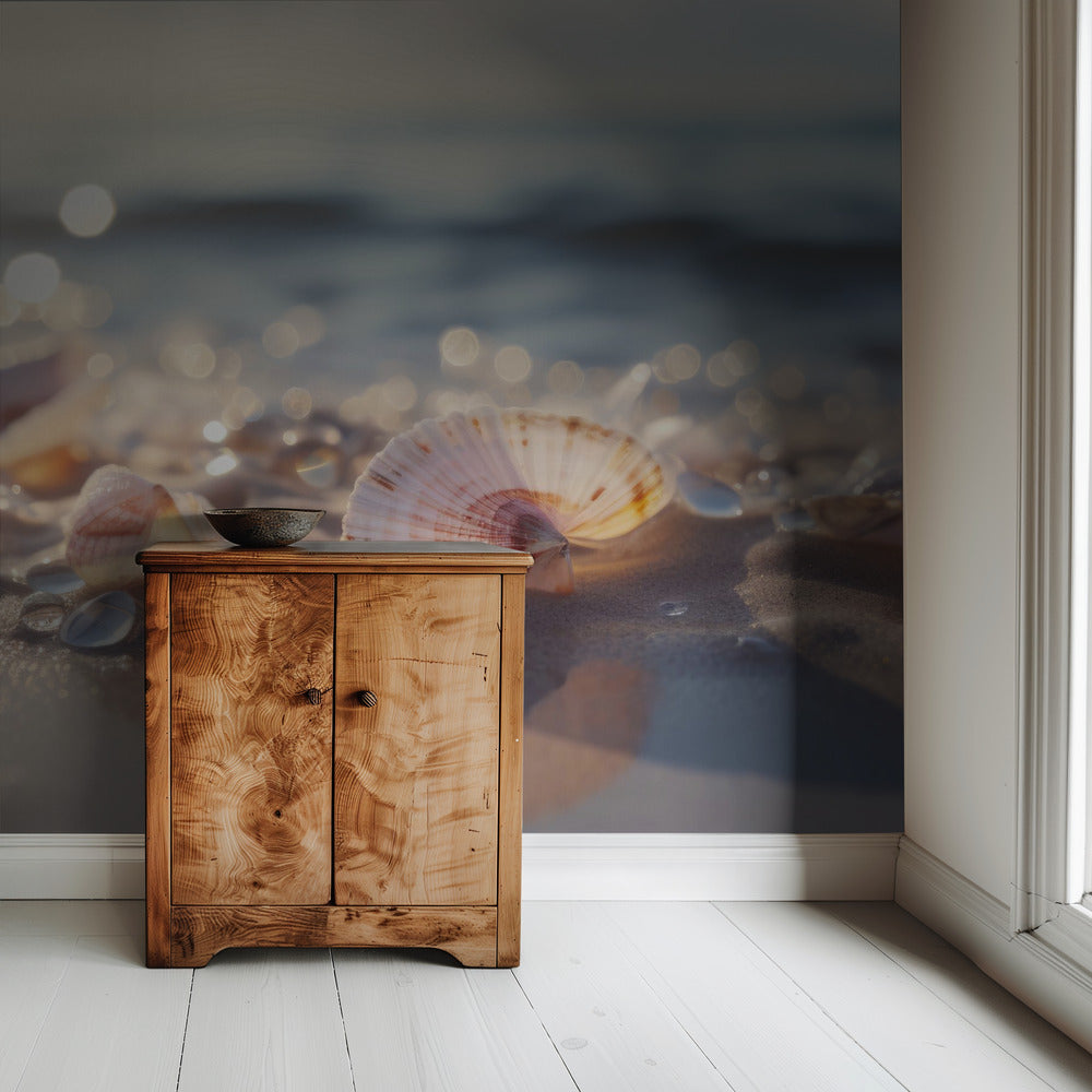 Seashell Serenity | Wallpaper