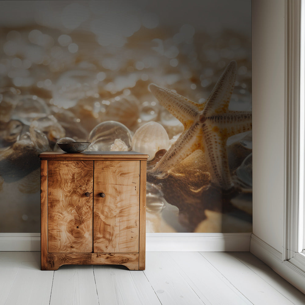 Sandy Treasures | Wallpaper