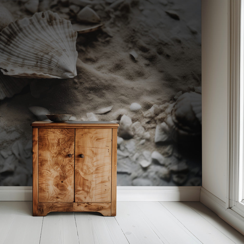 Seashell Serenity | Wallpaper