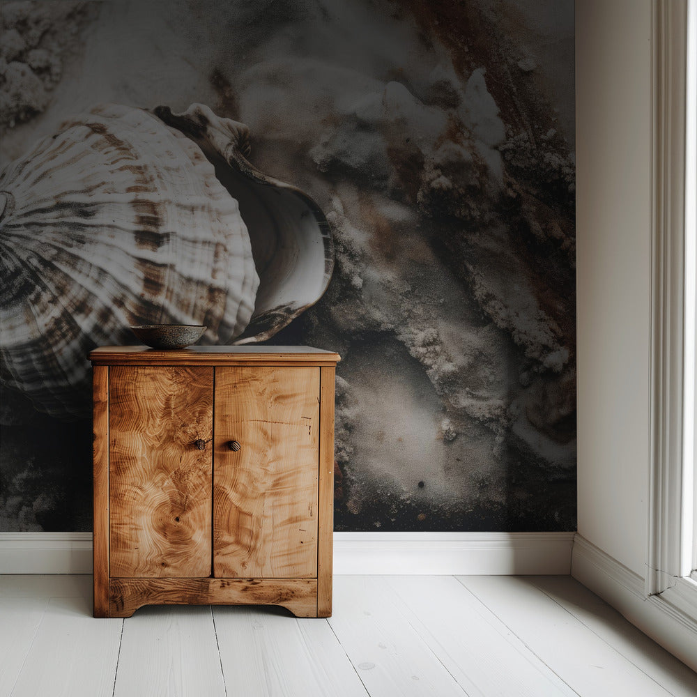 Seashell Serenity | Wallpaper