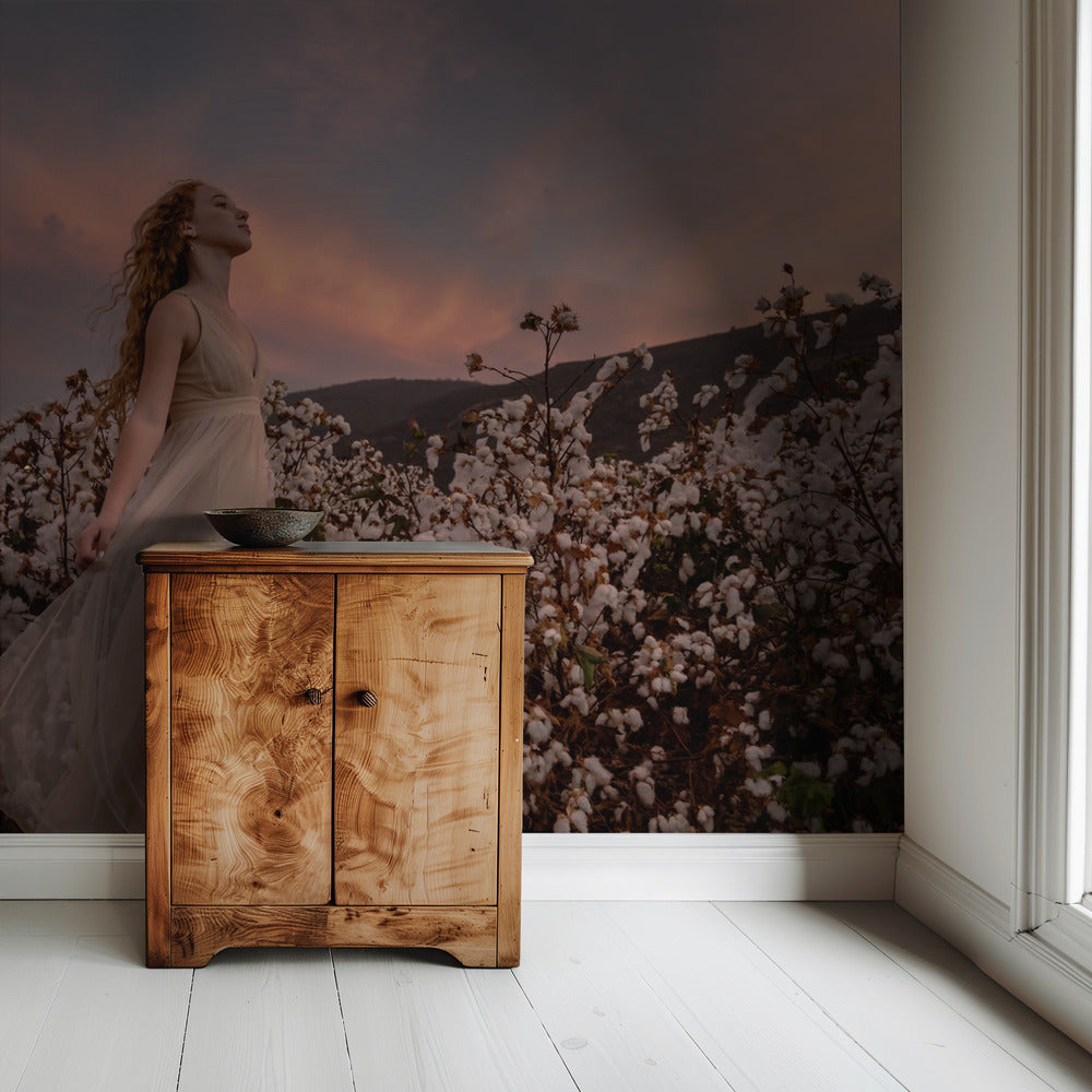 Sunset in the cotton field | Wallpaper