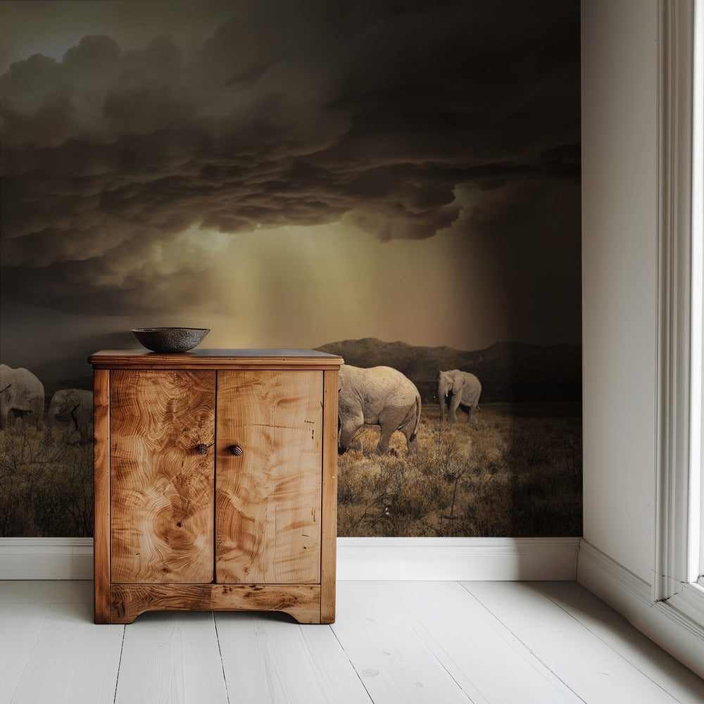 FreeElephants | Wallpaper