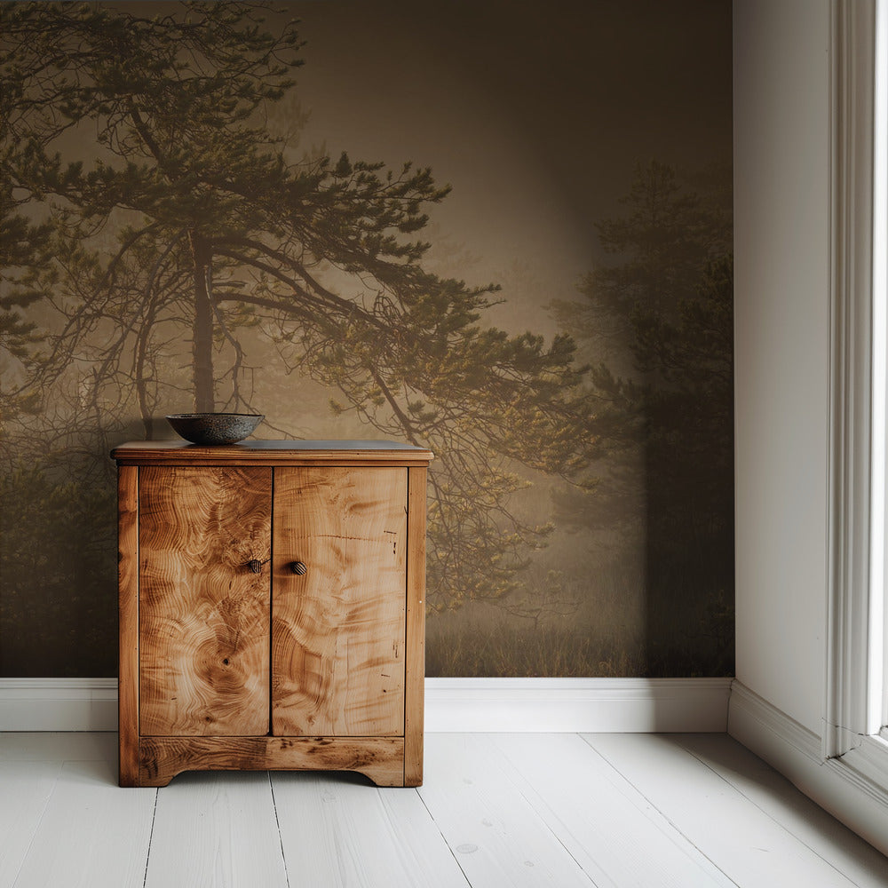 20220809 Dsf8003 1 | Wallpaper