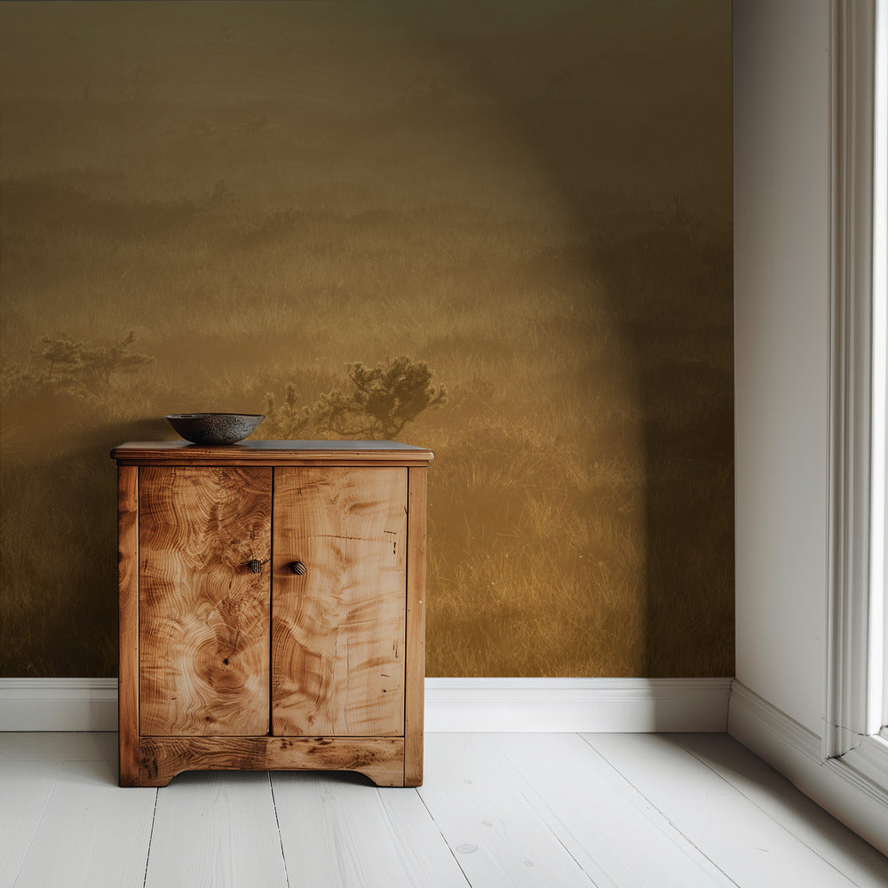 20220809 Dsf8027 1 | Wallpaper