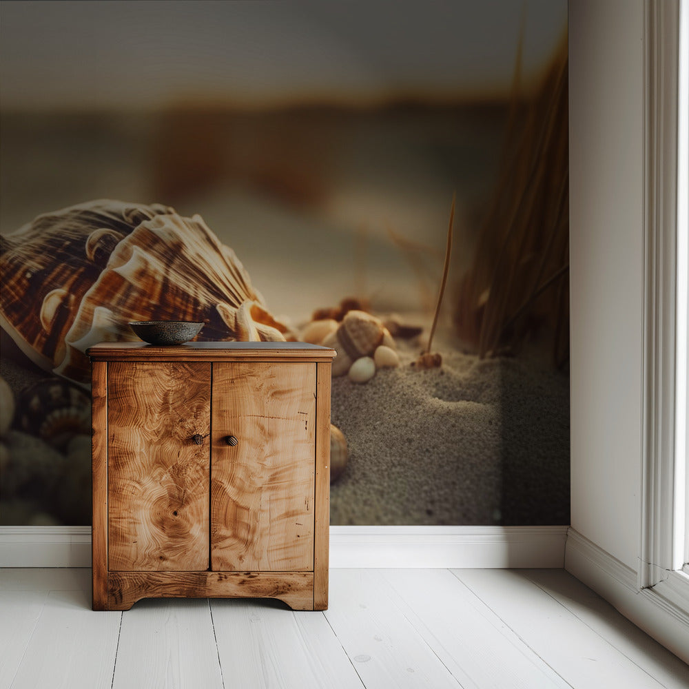 Shells at Sunset | Wallpaper