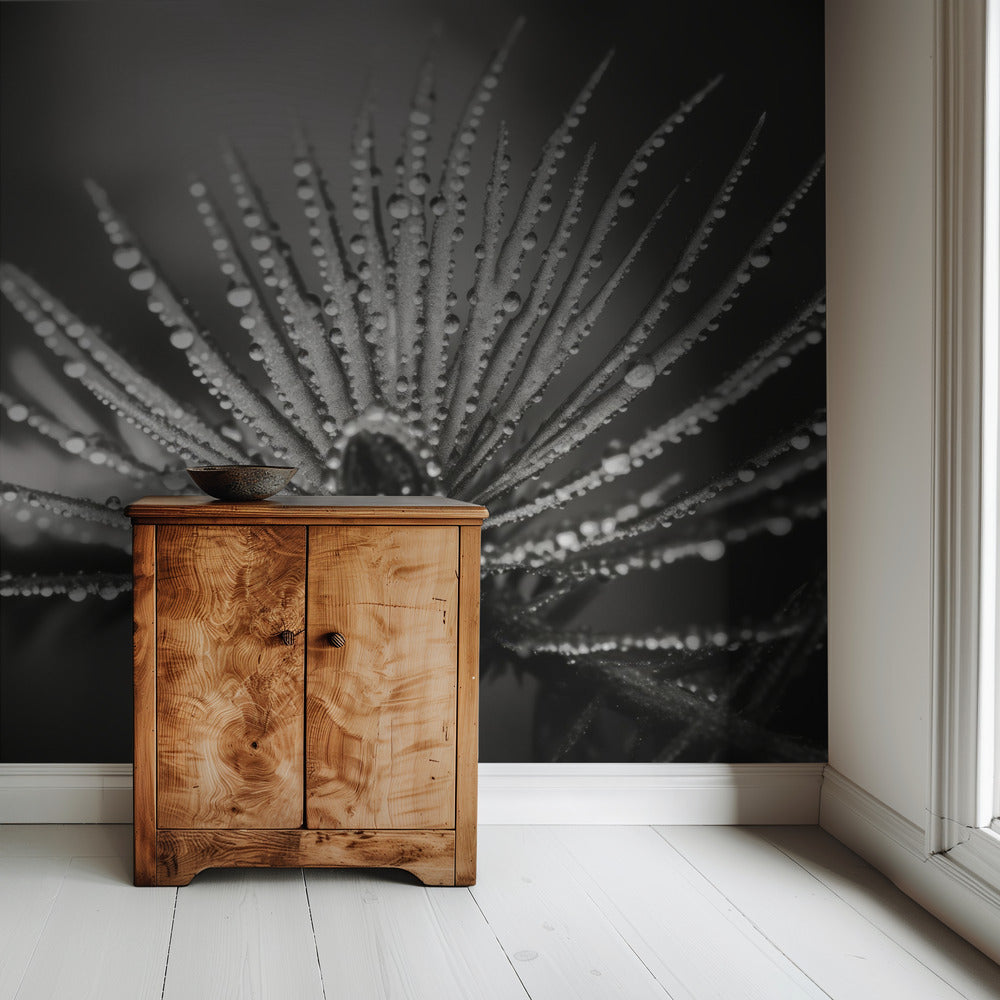 Dewy Elegance | Wallpaper