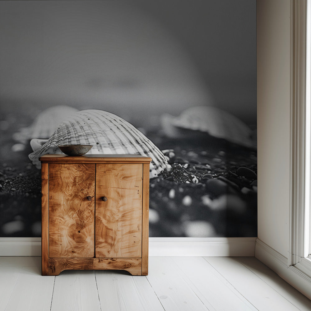 Seashell Serenity | Wallpaper