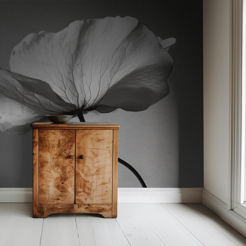 Delicate Petal Dance | Wallpaper