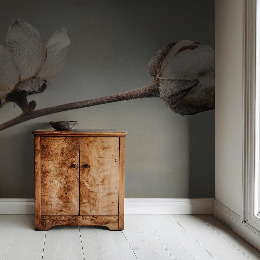 Delicate Petals | Wallpaper