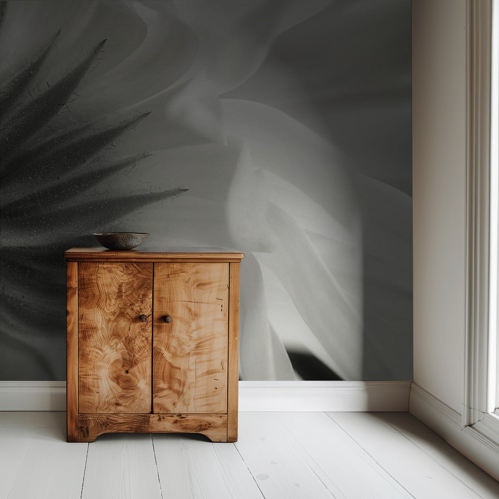 Calendula | Wallpaper