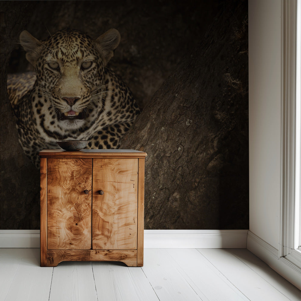 Leopard Resting on a Tree at Masai Mara | Wallpaper