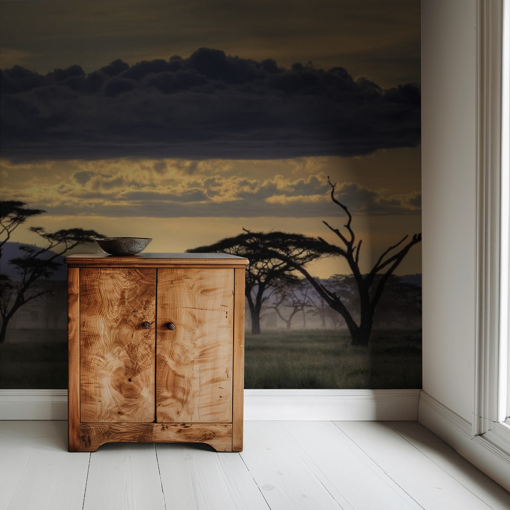 Good evening tanazania | Wallpaper