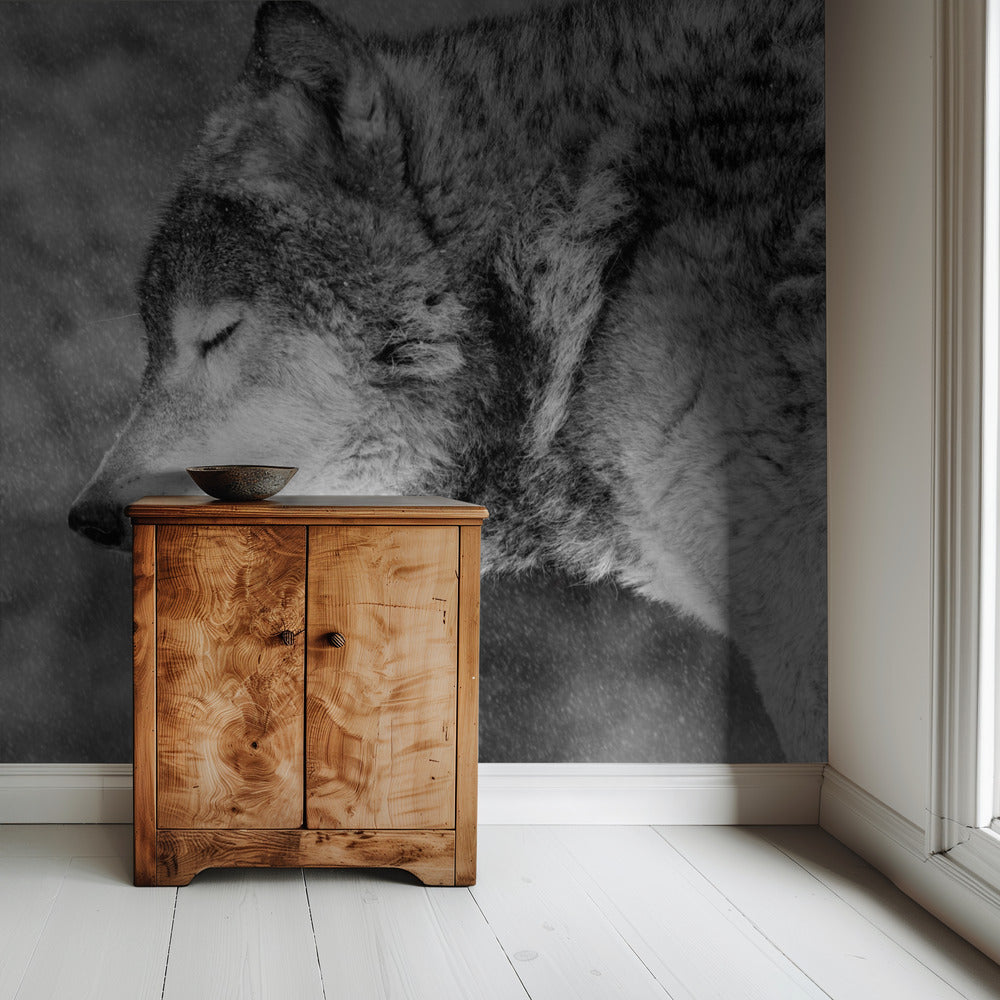 Let it snow | Wallpaper