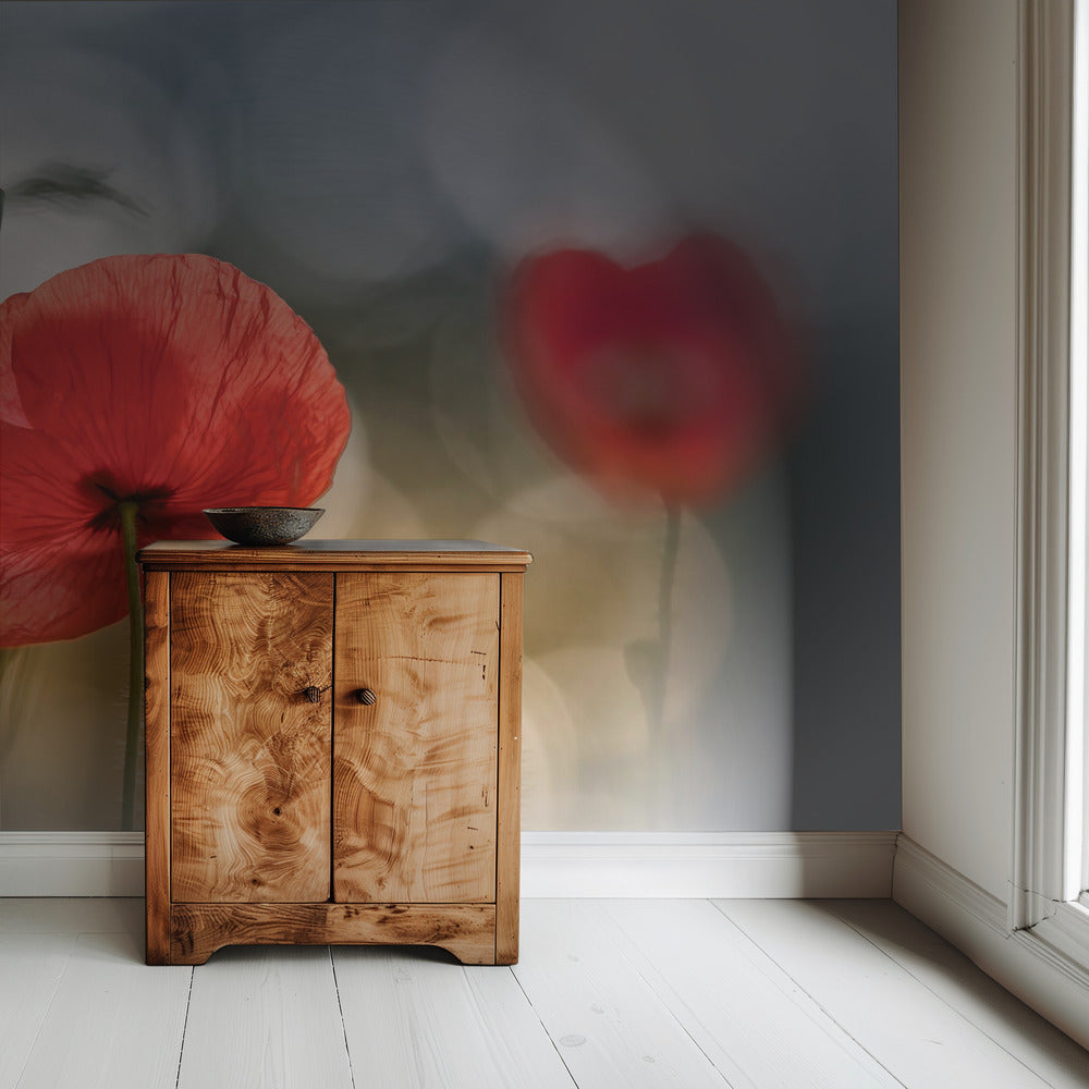 Morning Poppies | Wallpaper