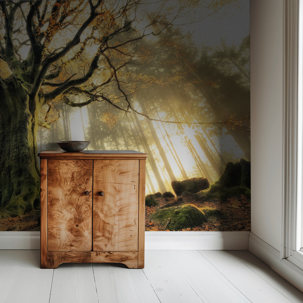 November | Wallpaper