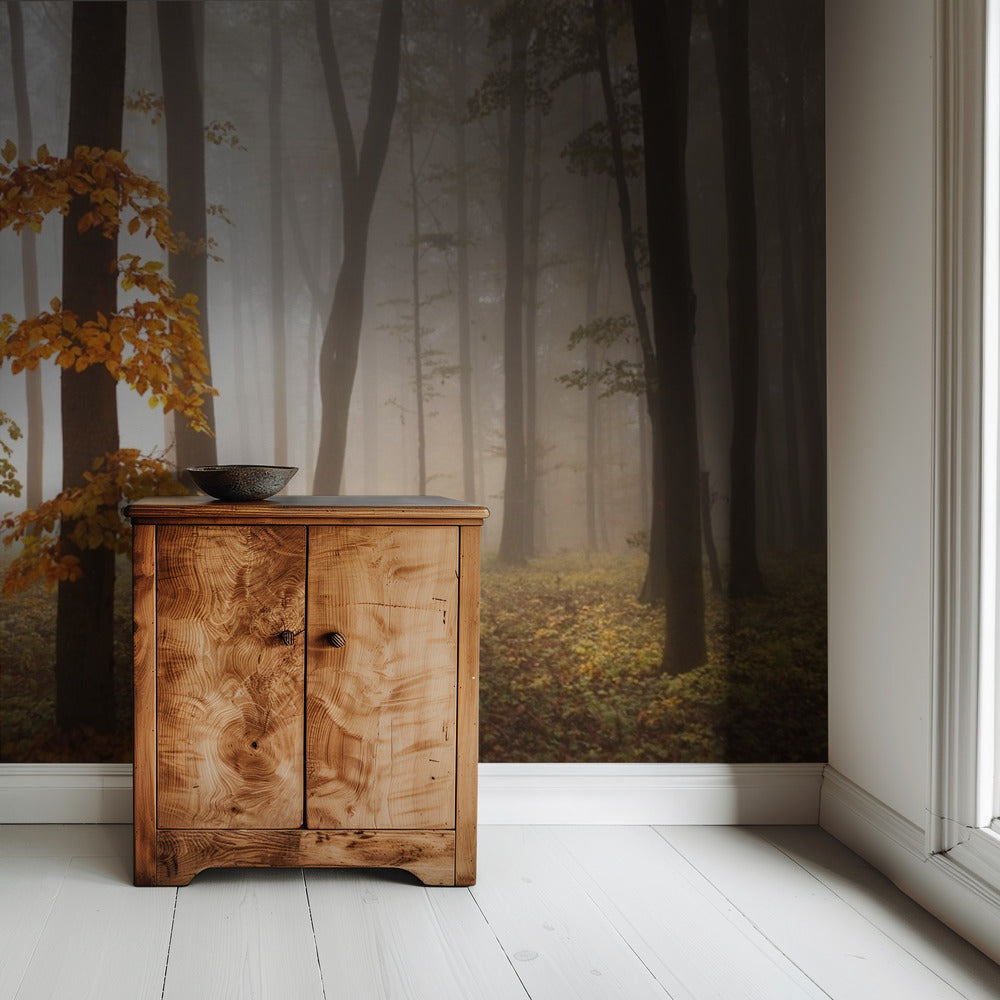 In November Light | Wallpaper